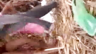 ভাল বৌদি চুদা চুদি ভিডিও পুষ্ট মানুষ, ভগাঙ্কুর কার্যাক্ষম.