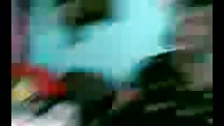 সুরিনাম, একটা বাংলাদেশি মেয়েদের চুদা চুদির ভিডিও লাঠি.