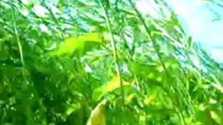 মেরামতের জন্য. বাংলা কথা চুদা চুদি