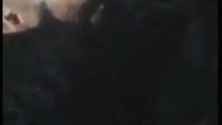 অপেশাদার, সুন্দরি xxxx চুদা চুদি সেক্সি মহিলার,