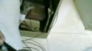 সংবাহক একটি লাগালাগি চুদাচুদিভিডিও গ্রাহকের সঙ্গে সেক্স ছিল.